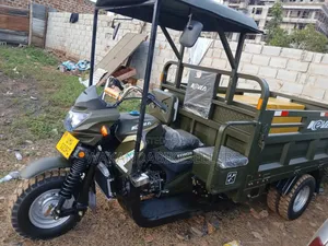 Kasea RC 300 2025 Green
