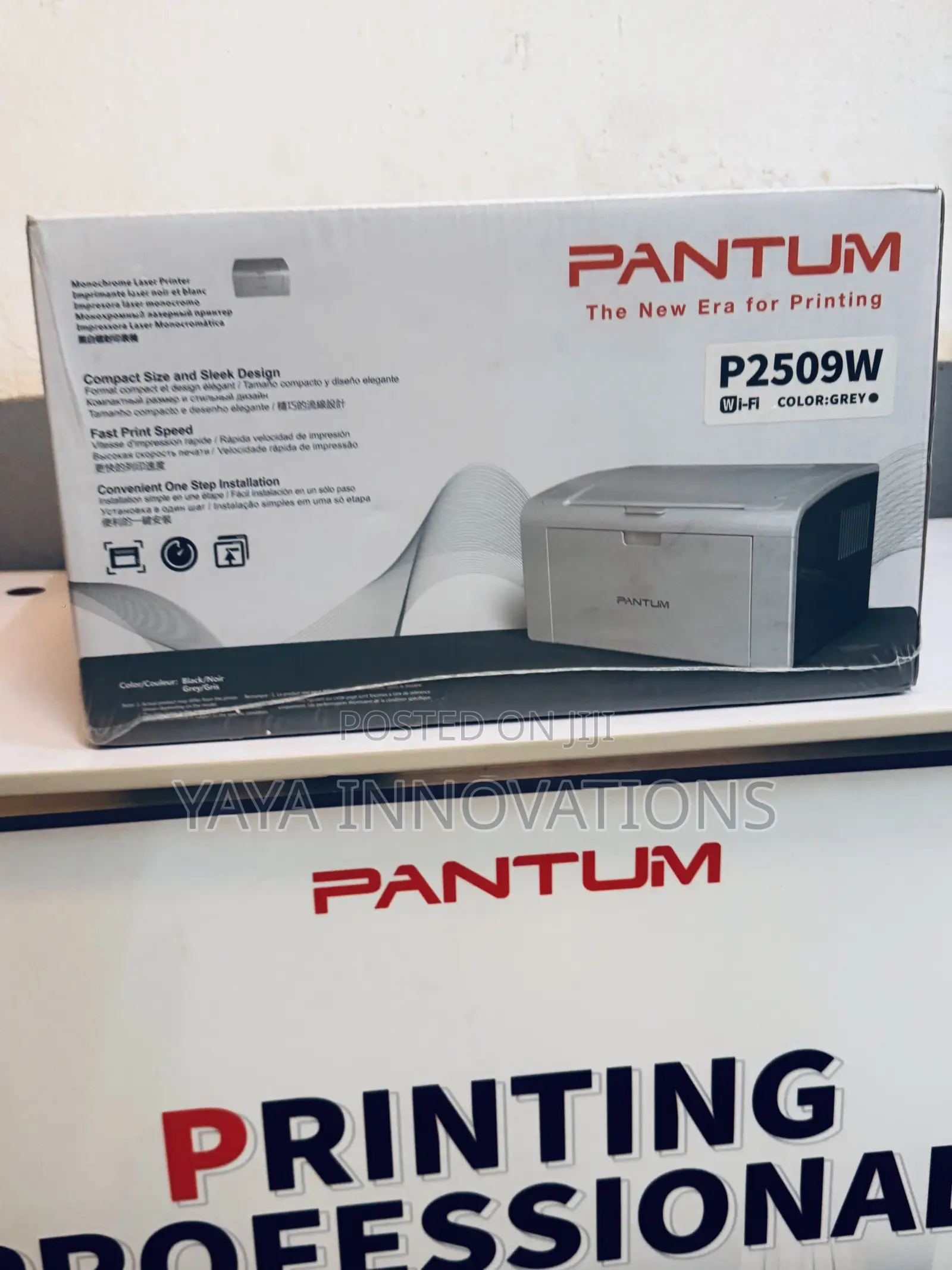 A4 Pantum 2509 Printer