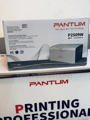 A4 Pantum 2509 Printer