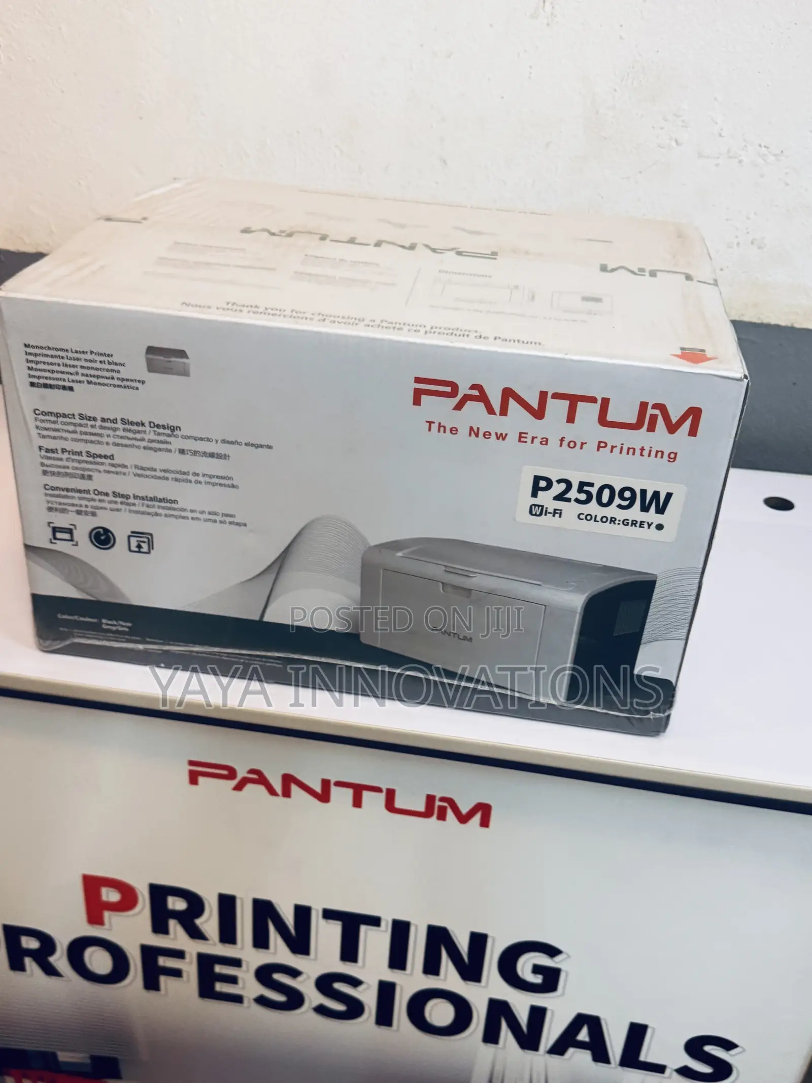 Portable Pantum Printer for Office