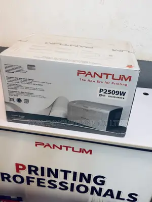 Portable Pantum Printer for Office