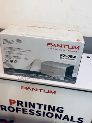Portable Pantum Printer for Office