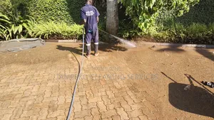 Pavers Cleaning