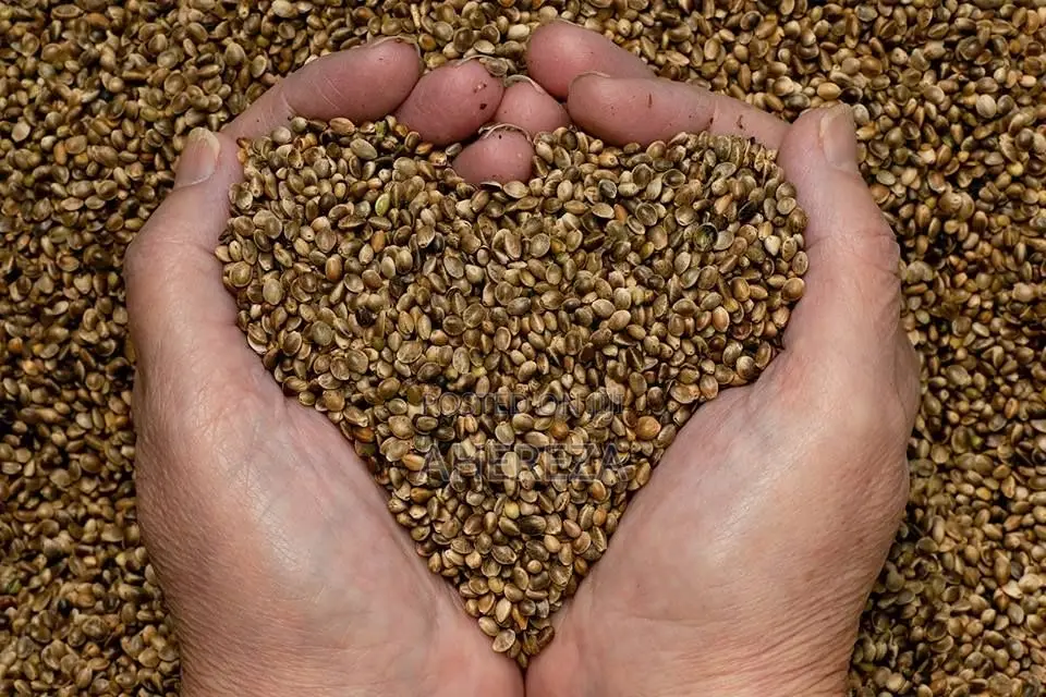 Herb Seeds