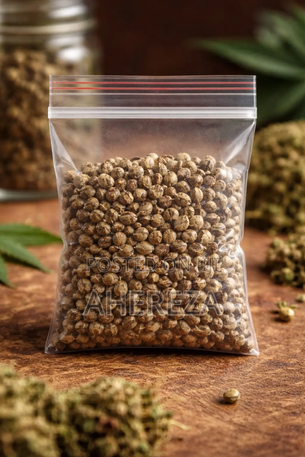 Herb Seeds