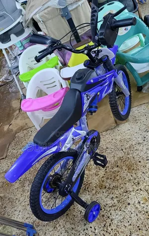 Blue Bike Size 16