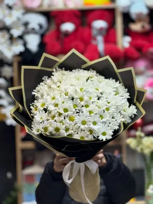White Chrysanthemum Gypsophillia Bouquet