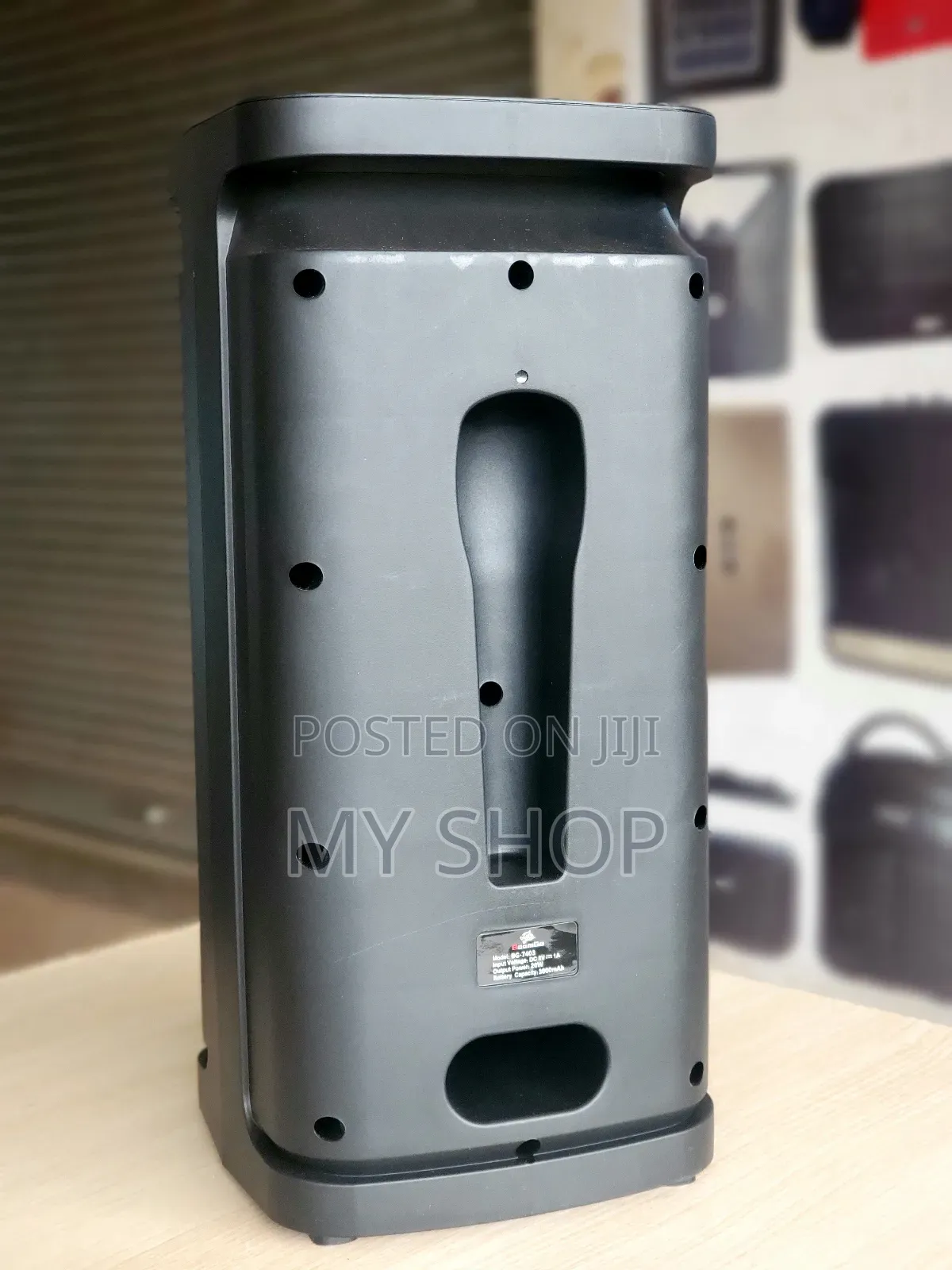 Rechargeable Speaker With a Wireless Microphone - Enjoy Karaoke