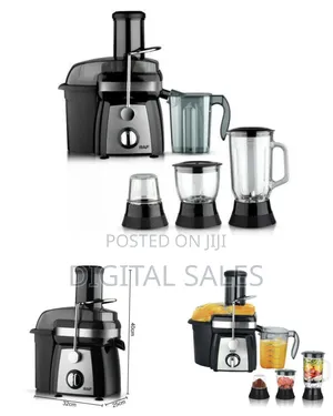 4 in 1 Juicer