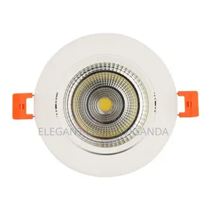 Spotlight Downlighter