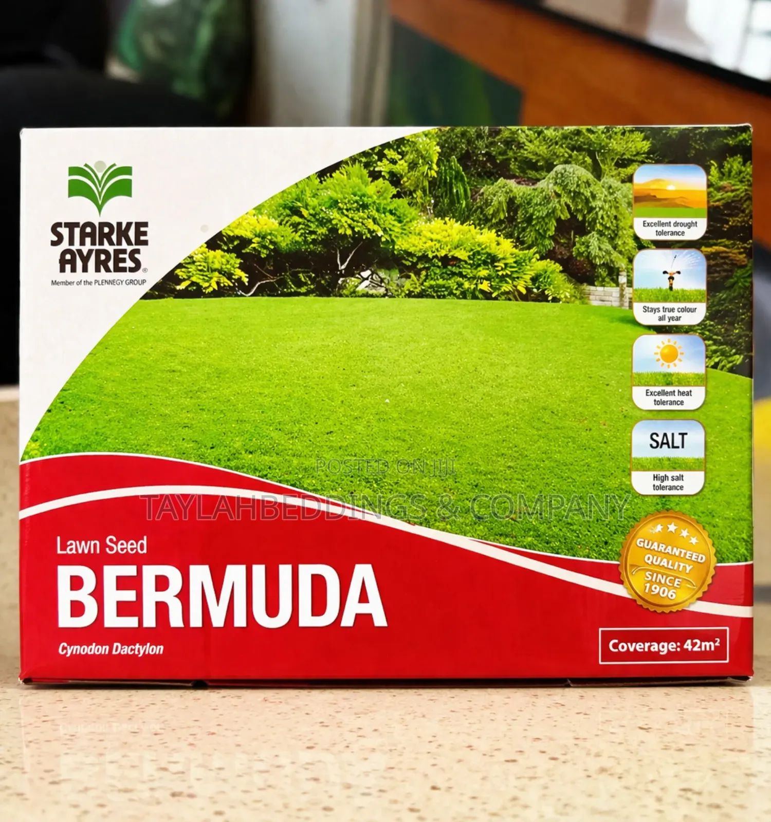 Bermuda Grass Green Couch Grass Superior Seed Coat Quality( Paskalamu)