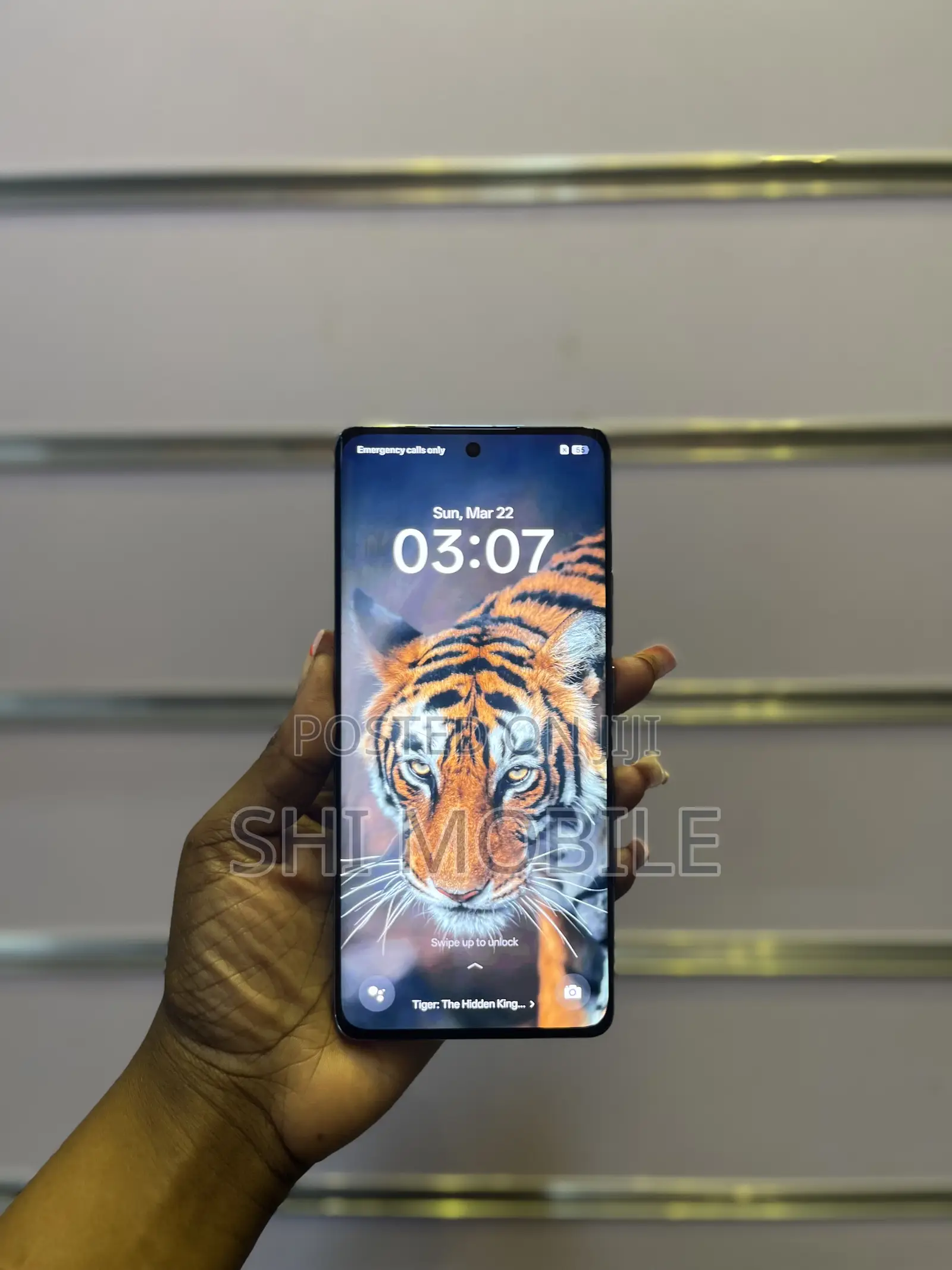 Oppo Reno 10 5G 256 GB Blue
