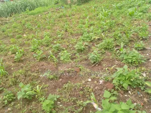 100by50ft Plot of Land on Sale in Kitukutwe
