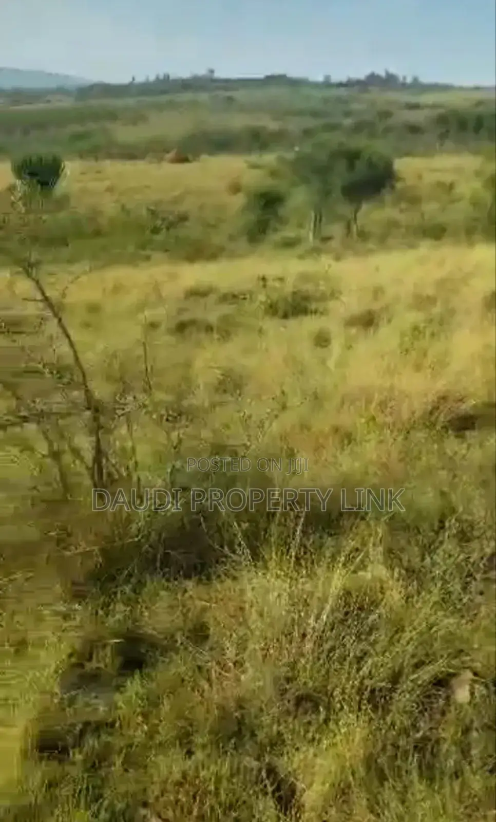 27 Acres on Sale at 12m Per Acre. [10 Acres Minimum]