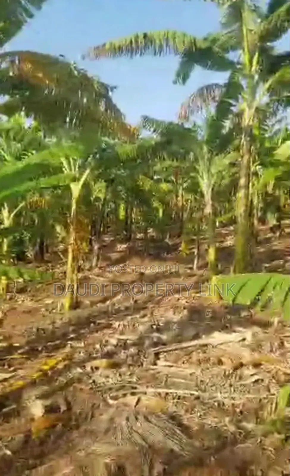 27 Acres on Sale at 12m Per Acre. [10 Acres Minimum]