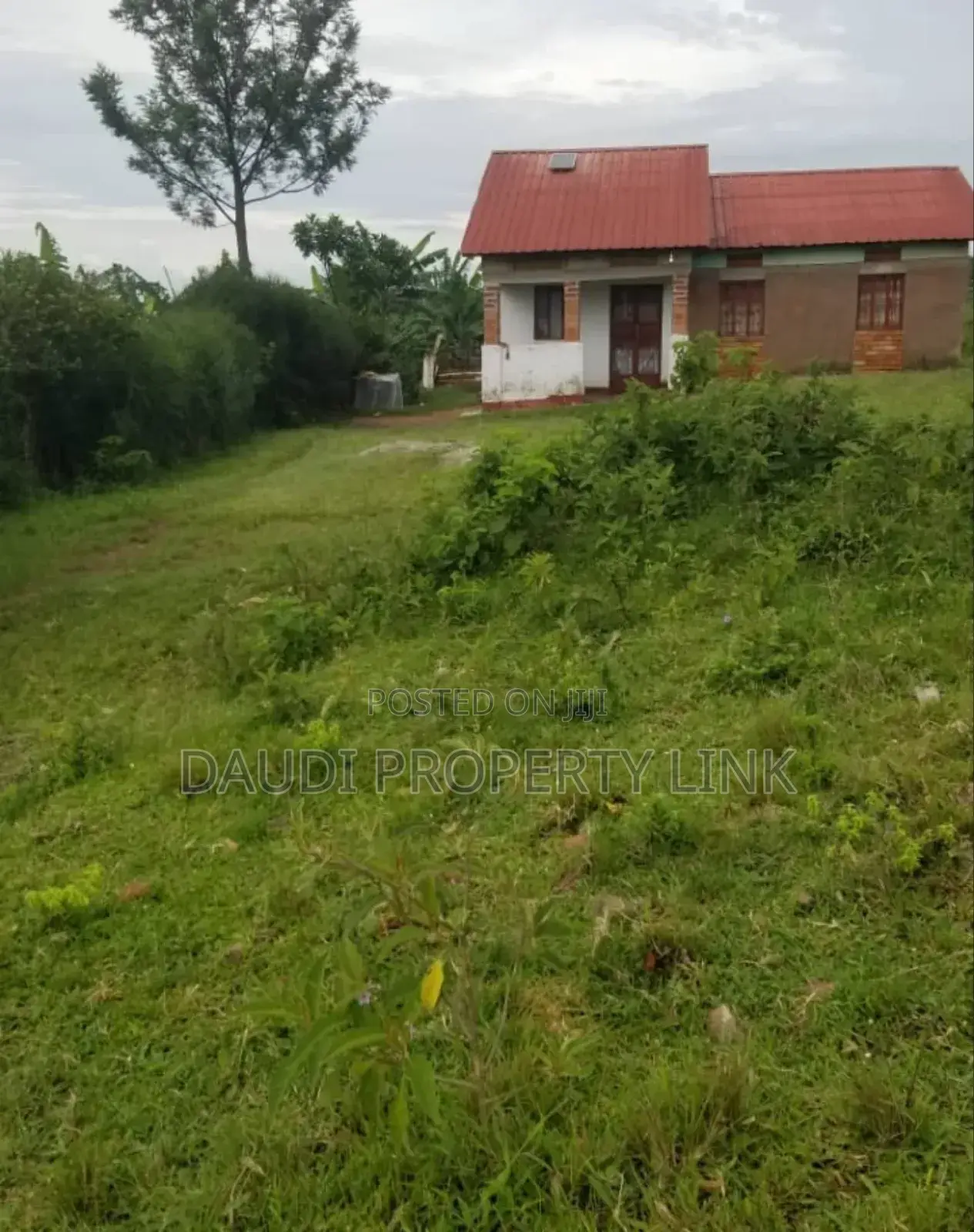 27 Acres on Sale at 12m Per Acre. [10 Acres Minimum]
