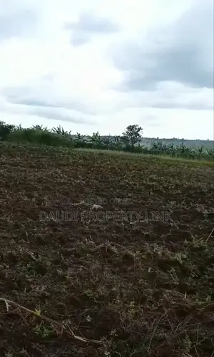 Fertile 5.8 Acres of Land All at 63m.