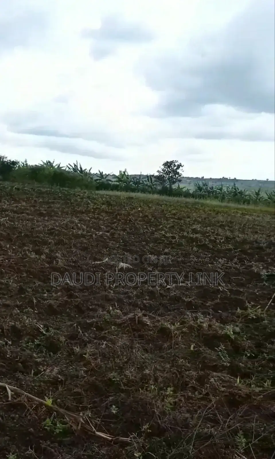 Fertile 5.8 Acres of Land All at 63m.