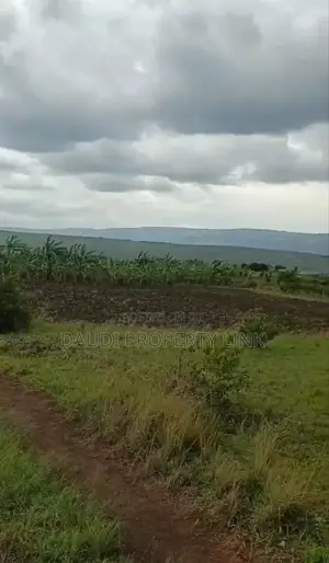Fertile 5.8 Acres of Land All at 63m.
