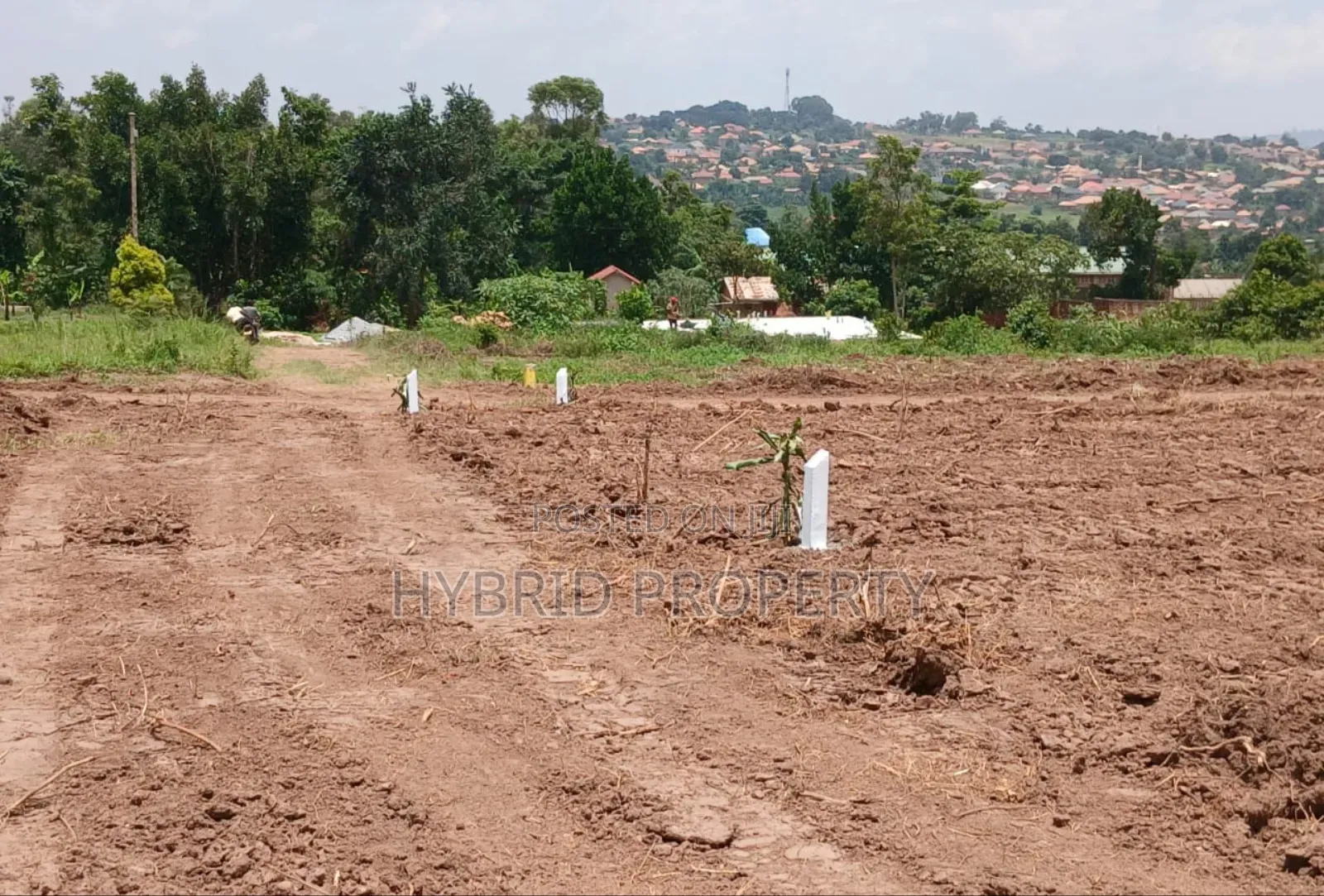 Prime Plots for Sale at Wakiso~Bulabakulu Sweetillious Estate~Hoima Rd