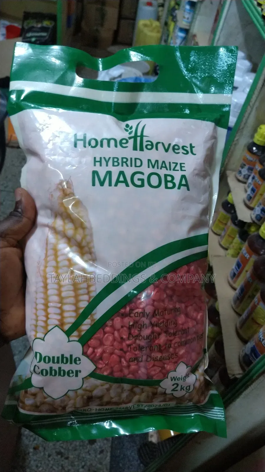 Magoba Hybrid Maize Seeds for Planting 8kg Per Acre
