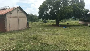 5_acres at 65m Ugx Per Acre Can Take 3acres or All Gayaza Rd Nakasajja