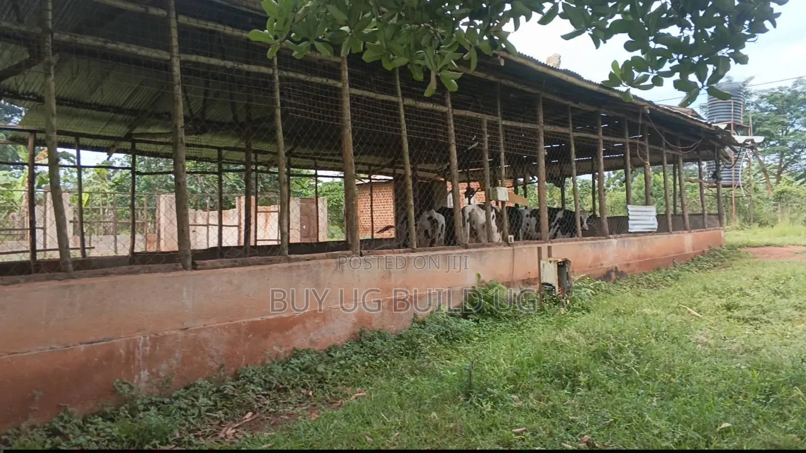 5_acres at 65m Ugx Per Acre Can Take 3acres or All Gayaza Rd Nakasajja