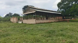5_acres at 65m Ugx Per Acre Can Take 3acres or All Gayaza Rd Nakasajja
