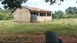 5_acres at 65m Ugx Per Acre Can Take 3acres or All Gayaza Rd Nakasajja