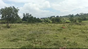 5_acres at 65m Ugx Per Acre Can Take 3acres or All Gayaza Rd Nakasajja