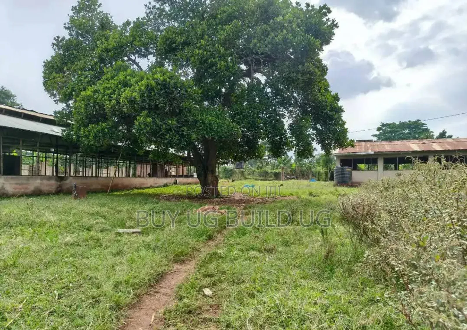 5_acres at 65m Ugx Per Acre Can Take 3acres or All Gayaza Rd Nakasajja