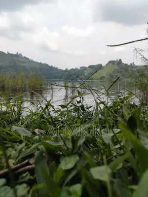 18 Acres Over Looking 3 Crater Lakes