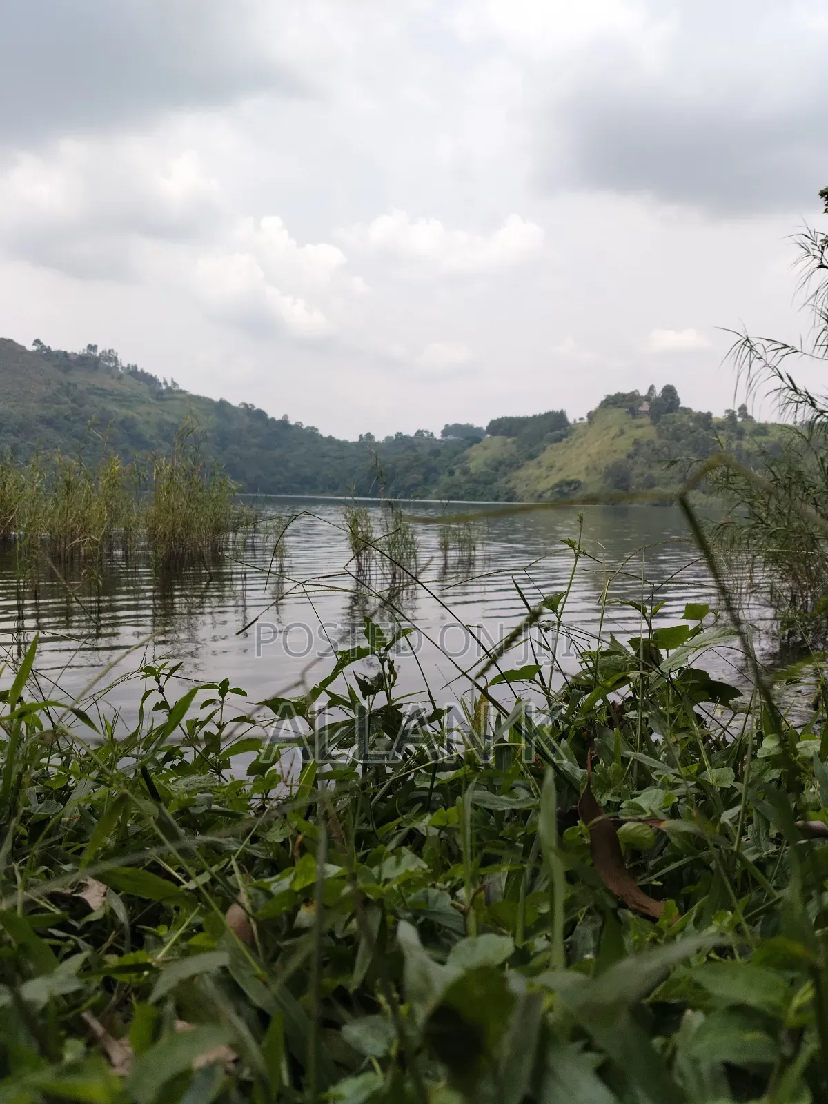 18 Acres Over Looking 3 Crater Lakes