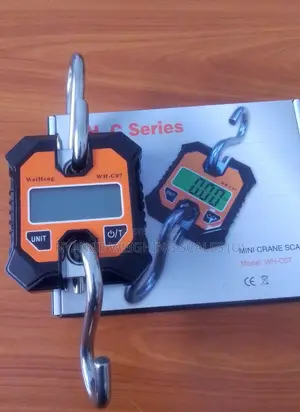 Gram Crane Weighing Scales 300kg Weigh Accurate Crane Weighing Scale