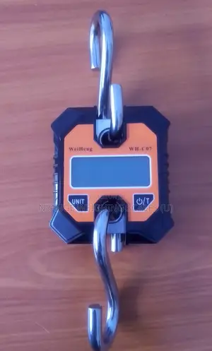 Crane Balance Weighing Scales 200kg Weigh Accurate Weighing Scale