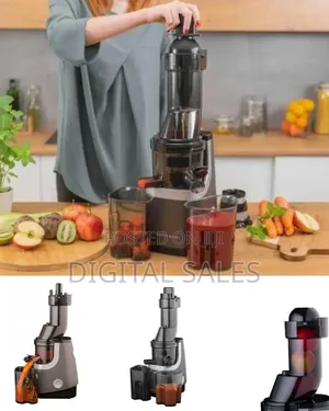 Professional Slow Masticating Juicer
