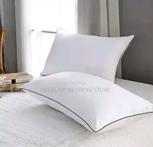 Micfibre Pillows 2pcs