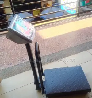 Platform Weighing Scale 180kg Weigh Digital Weighing Scale Distributor