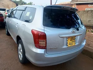 Toyota Corolla Fielder 2007 Silver