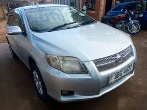 Toyota Corolla Fielder 2007 Silver