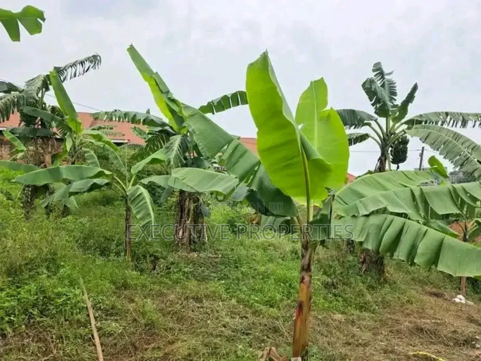 Naalya 35 Decimals Plot for Sale