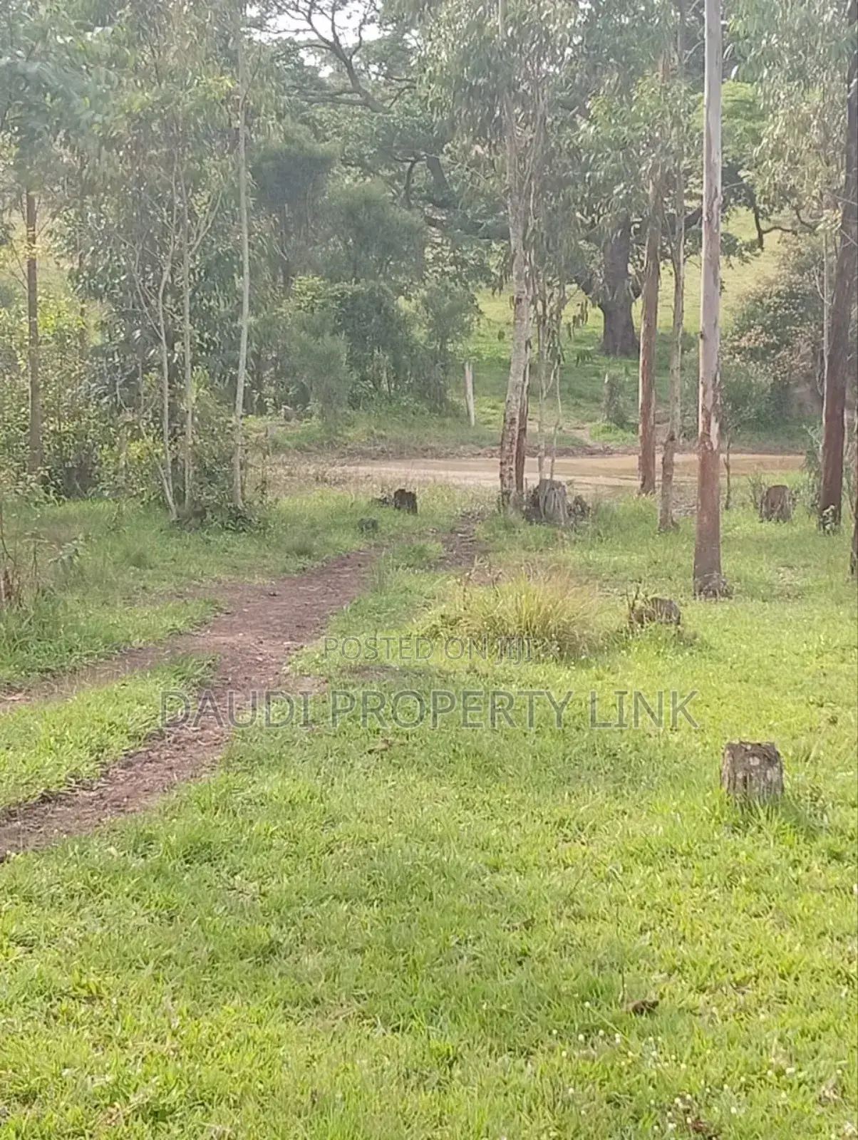 21⁄2 , 11⁄2 and 31⁄2acres at 34m Per Acre From 38m at Acre, in Rubaya Mb.