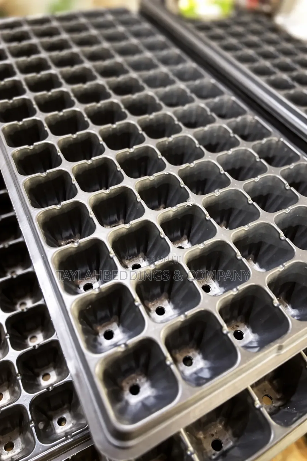 Seedling Trays Having 54 Holes