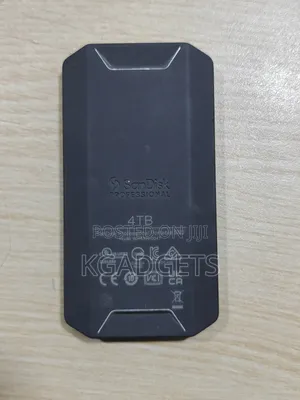 Sandisk Professional 4tb Pro-G40