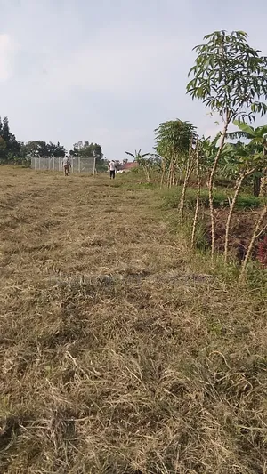 50*100 Titled Plots for Sale in Bujjuko Bulamazzi Mitiyana Rd