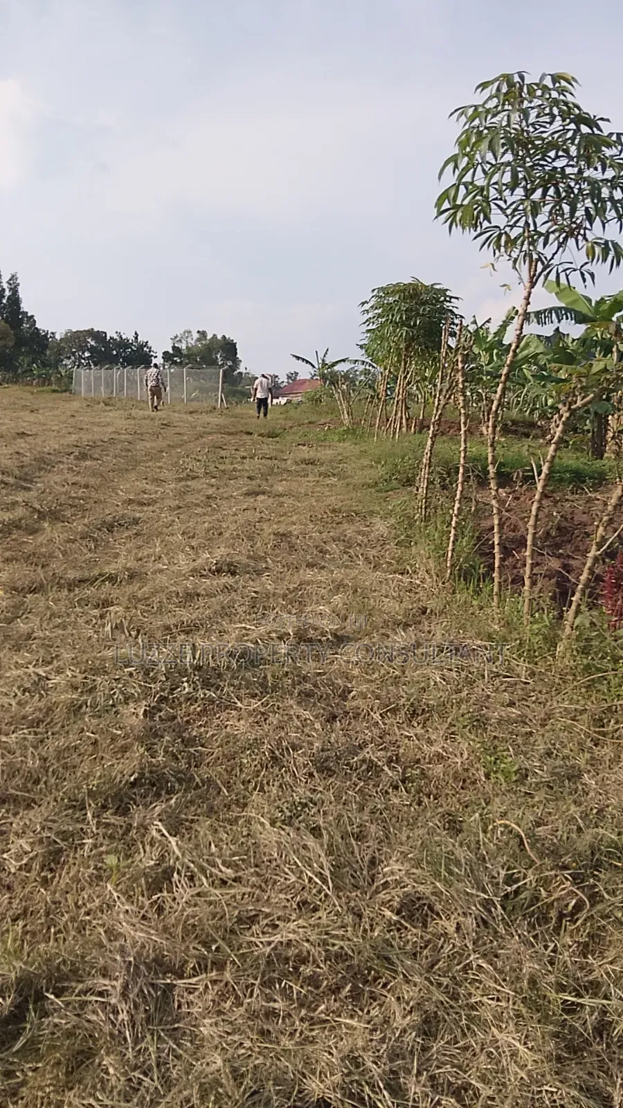 50*100 Titled Plots for Sale in Bujjuko Bulamazzi Mitiyana Rd