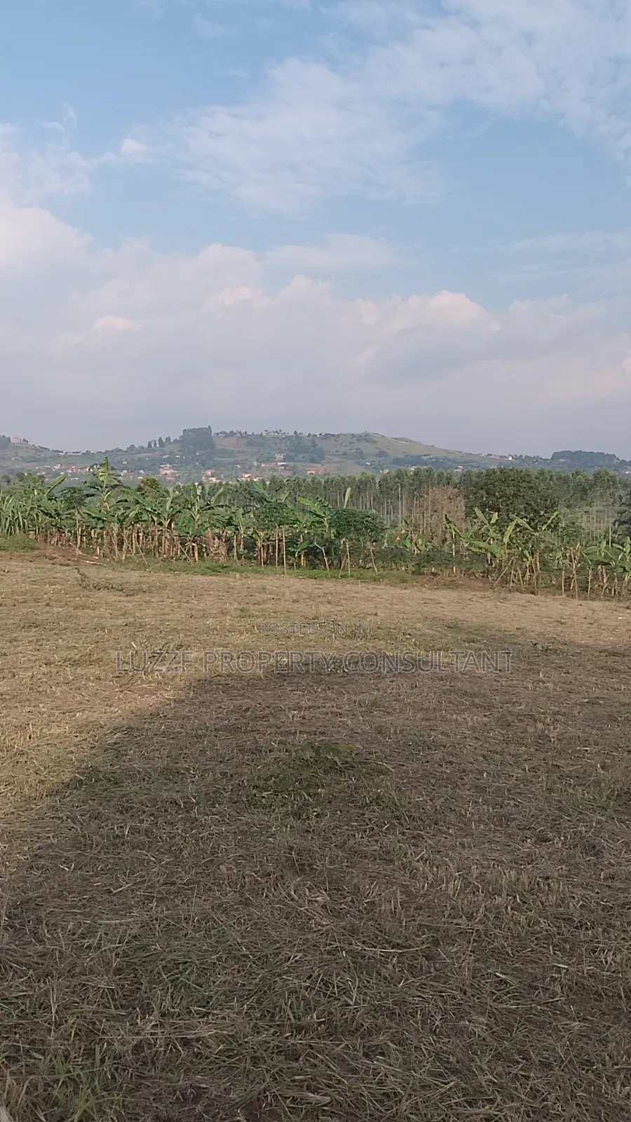 50*100 Titled Plots for Sale in Bujjuko Bulamazzi Mitiyana Rd