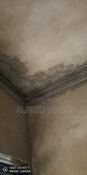 Ceiling Cornice Designs