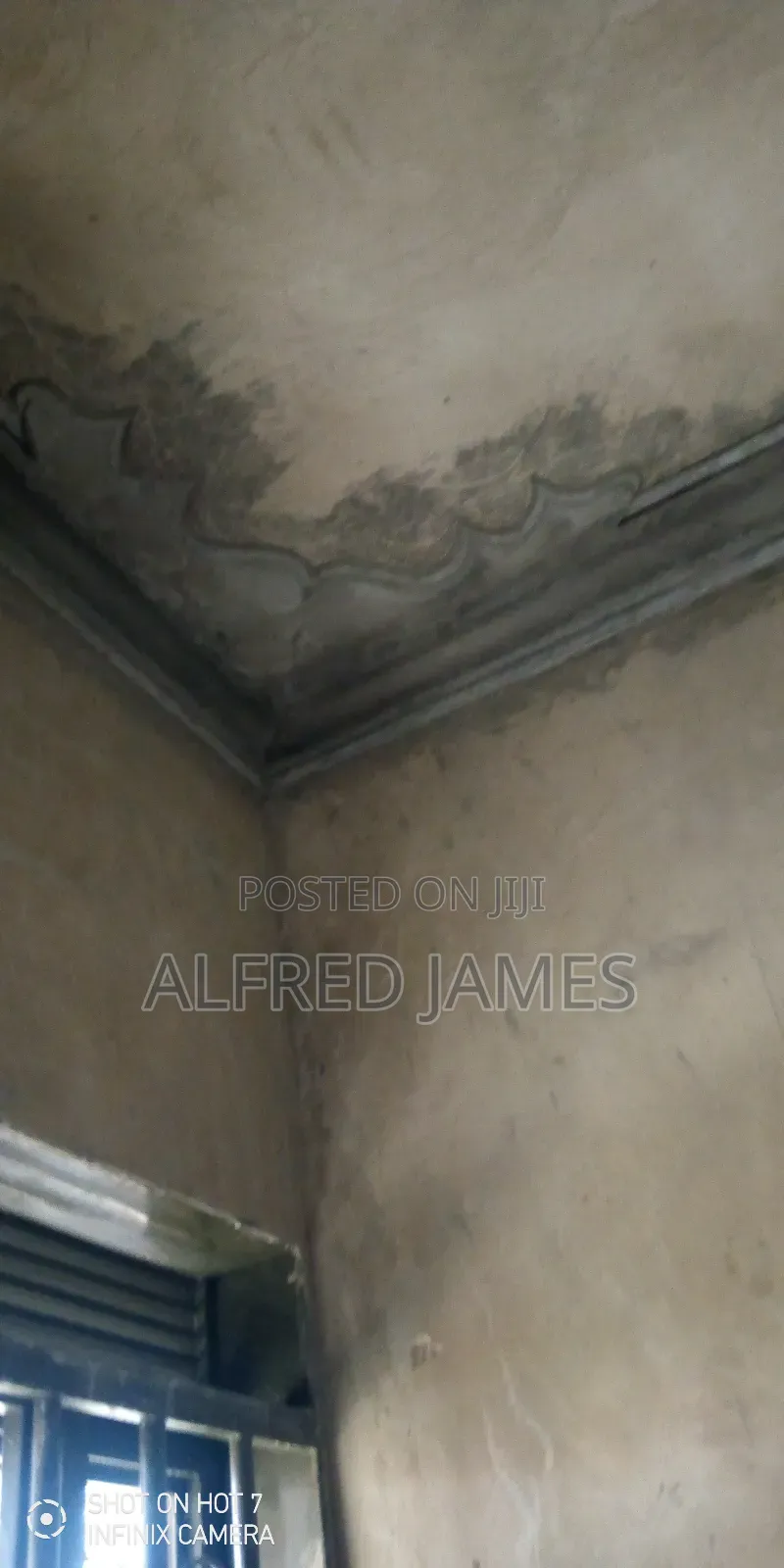 Ceiling Cornice Designs