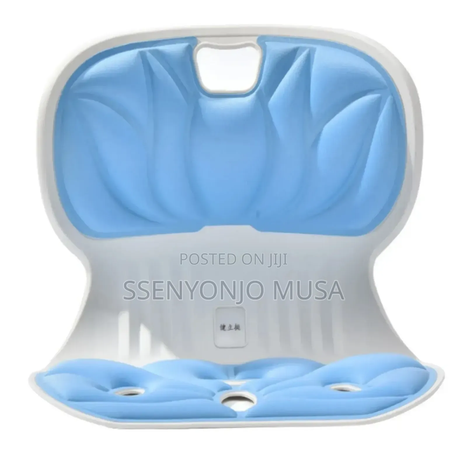 Ergonomic Chair Back Support Lumbar Cushion for Posture Correction
